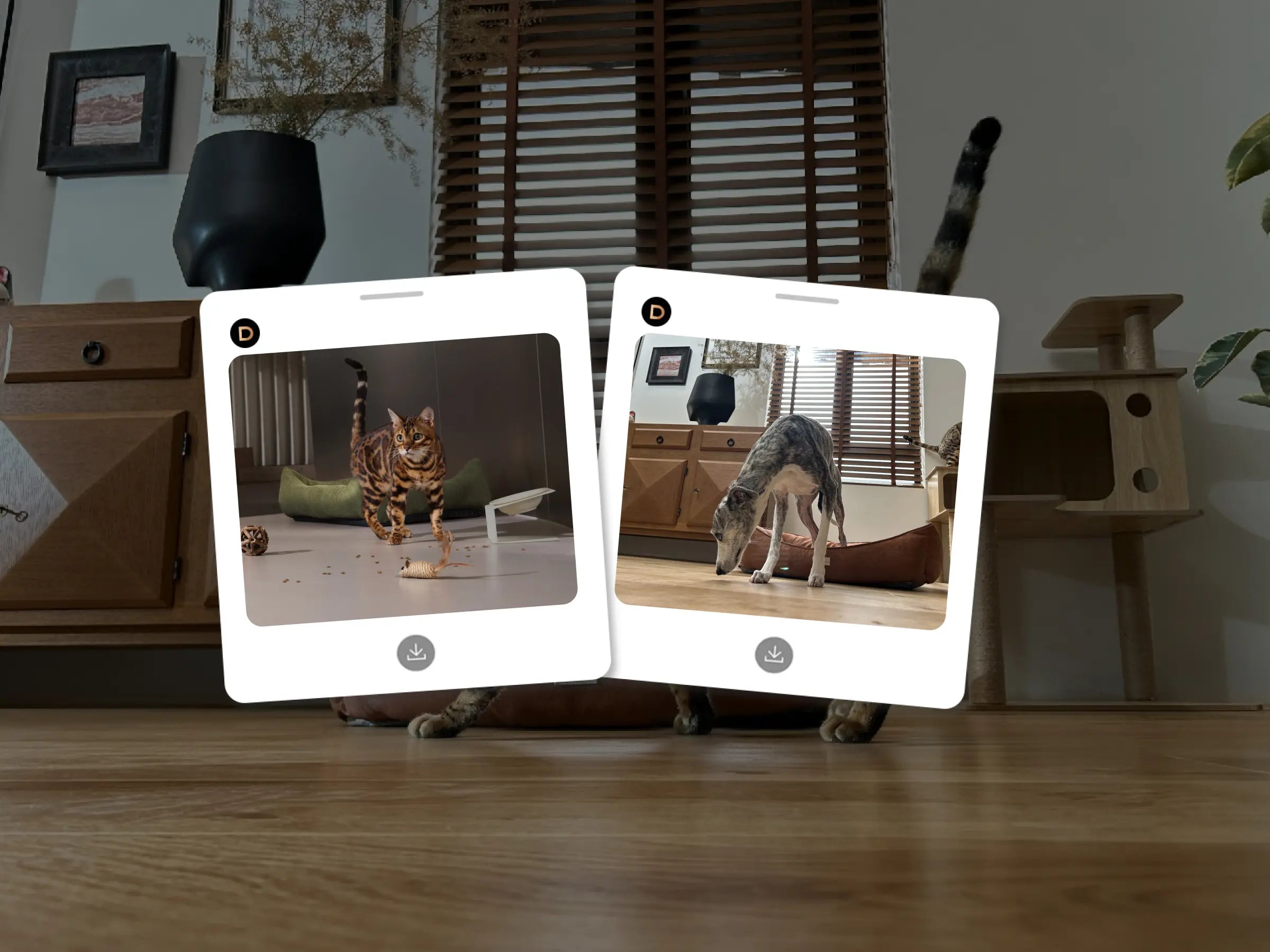 A New Pet-spective on Habits