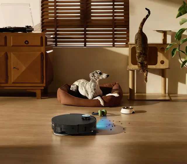 Targeted Pet Area Cleaning