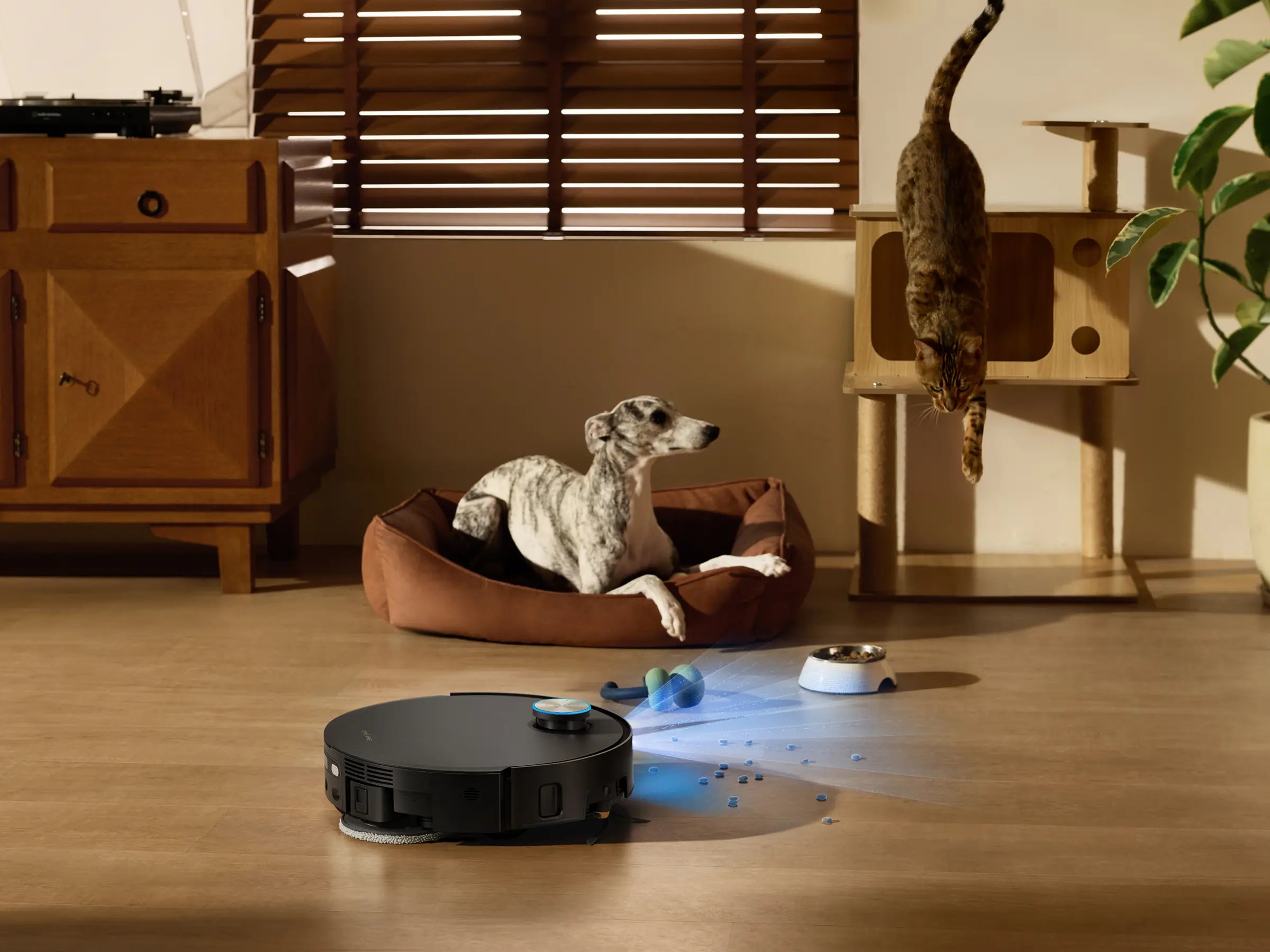 Targeted Pet Area Cleaning