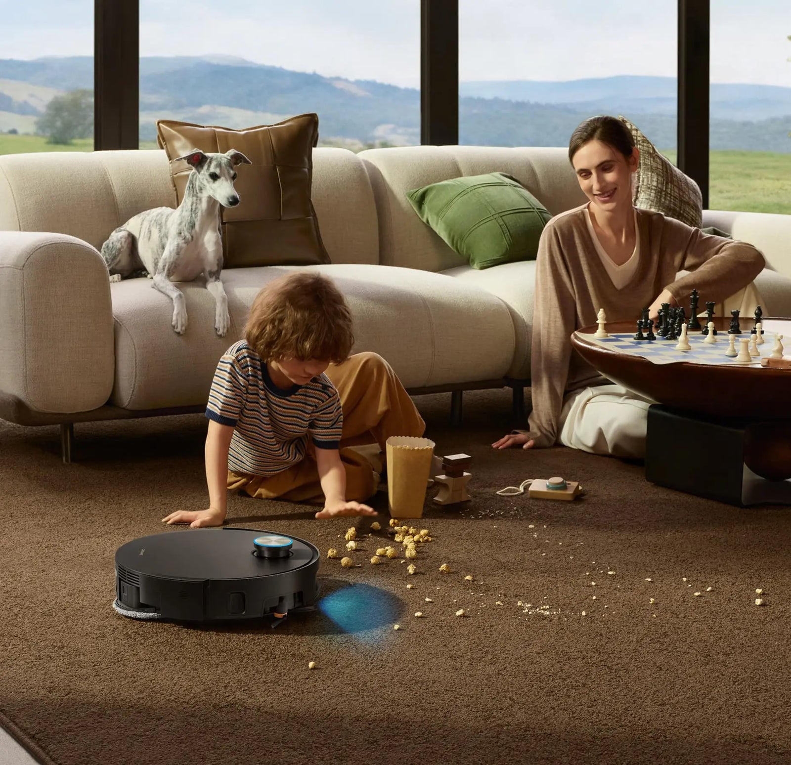 Your Rugs, Your Rules