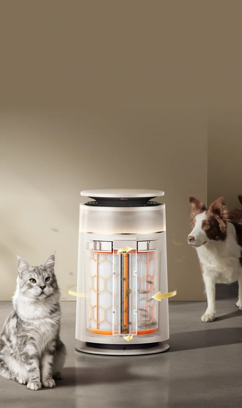 Long-Lasting Purification