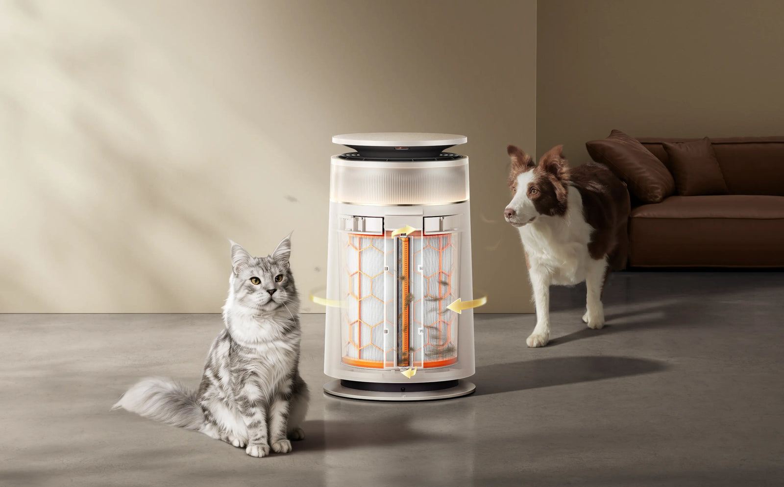 Long-Lasting Purification