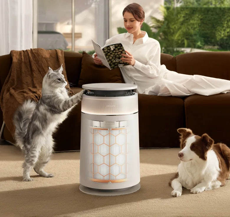 Maintenance-Free Primary Filter