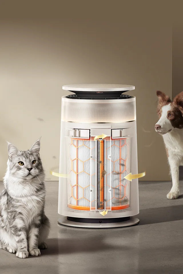 Long-Lasting Purification