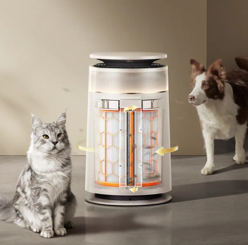 Long-Lasting Purification