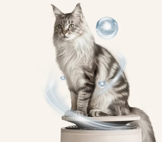 Negative Ion Hair Care