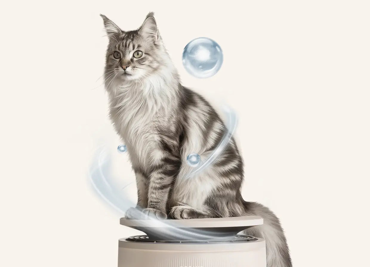 Negative Ion Hair Care